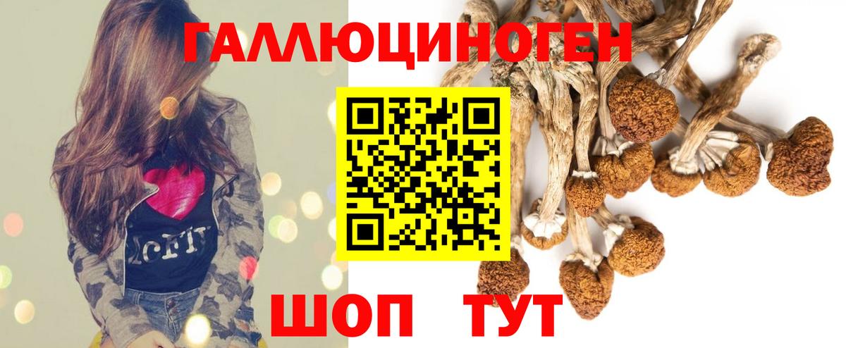 Псилоцибиновые грибы мицелий Архангельск